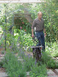 My dh in the kitchen garden