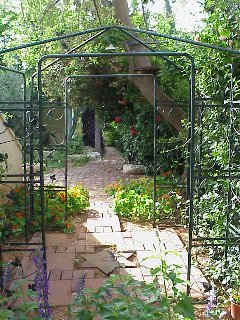 Kitchen Garden after renovation