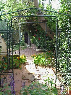 Kitchen Garden after renovation